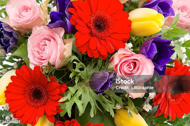 Closeup Of Colorful Spring Flowers Stock Photo - Download Image Now - Anemone Flower, Arrangement, Beauty In Nature