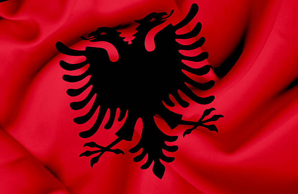 istock Albania waving flag 462246375