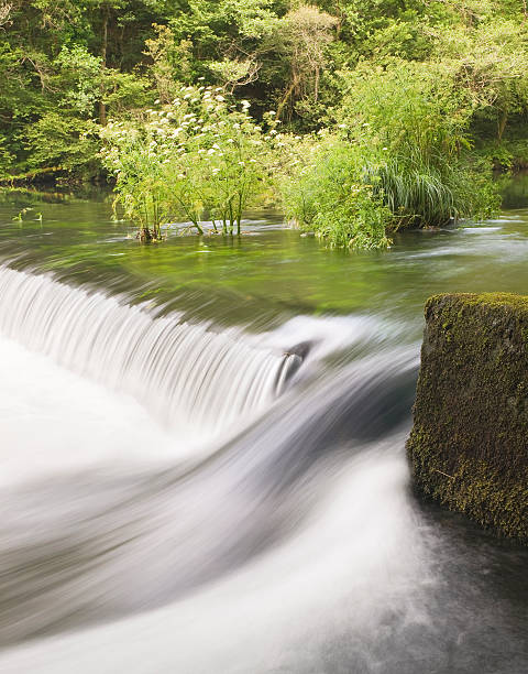istock Eume river in 
