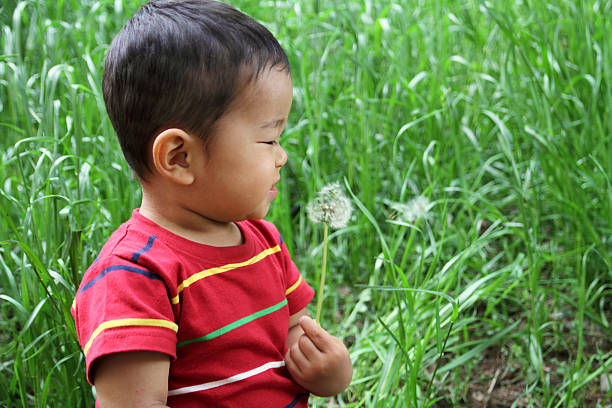 istock Infant blowing dandelion seeds 462250169