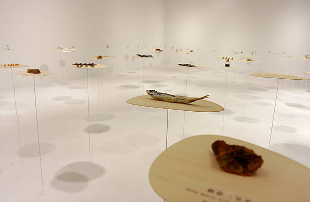 istock Delicatessen exhibitiona in Japan 462251997