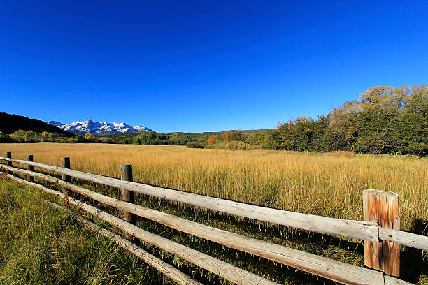istock Dallas Divide, Uncompahgre National Forest, Colorado 462255659