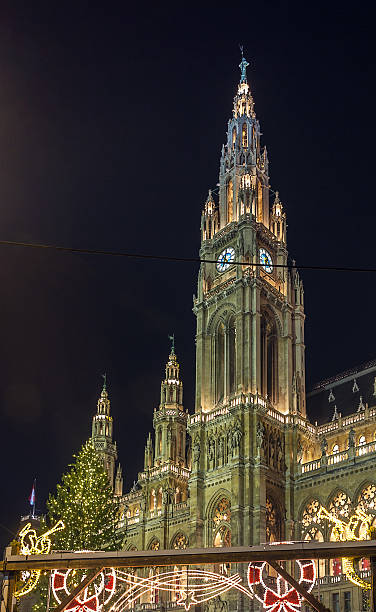 istock town hall of the Vienna, Austria 462256987