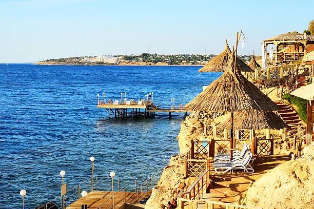 istock Beach at the luxury hotel, Sharm el Sheikh, Egypt 462258385