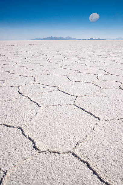 Salt Pla 70+ Salt Polygons Stock Photos, Pictures & Royalty-Free Images - iStock