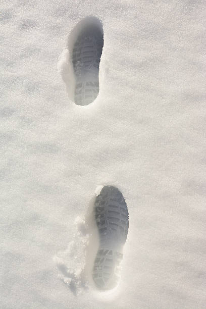 istock Shoe Prints in the Snow 462265009