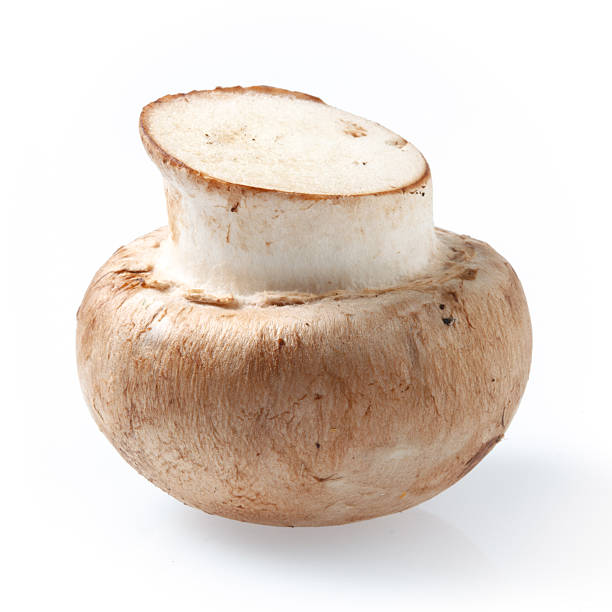 istock Brown champignon mushroom isolated on white background cutout 462267543
