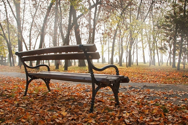 istock Lonely benck in autumn park 462267799