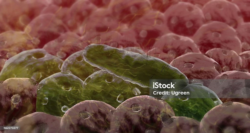 bacteria 3d rendered coli bacteria, bacteria kill the cell Bacillus Subtilis Stock Photo