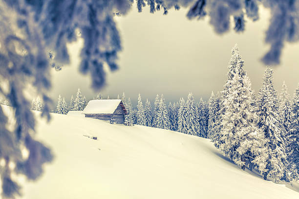 istock Christmas background with snowy fir trees. Retro stile 462273463