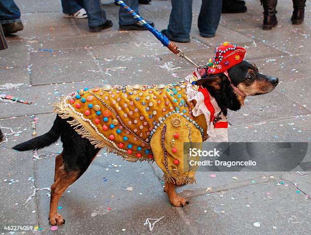 Photo libre de droit de Chien En Costume De Carnaval banque d'images et plus d'images libres de droit de Animal choyé - Animal choyé, Animaux de compagnie, Bouton - Mercerie