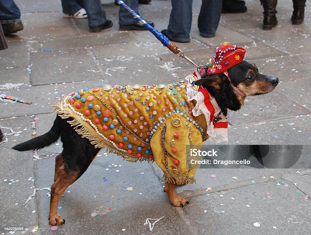 Cane in Costume di carnevale - Foto stock royalty-free di Animale da compagnia