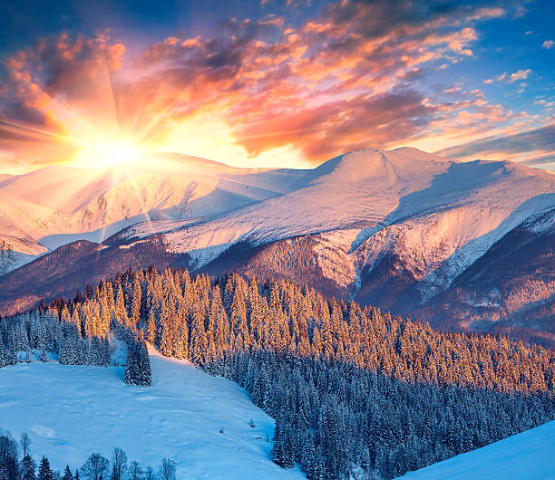istock Colorful bright sunrise in winter mountains and forest 462274349