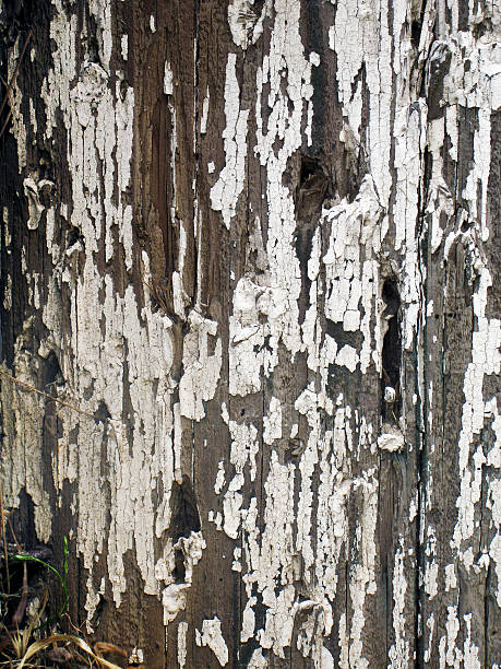 istock Textured wooden wall with peeling paint 462276879