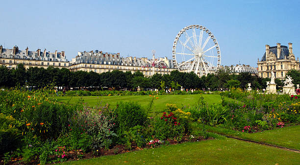 istock Summer at Tuileries Garden 462277845