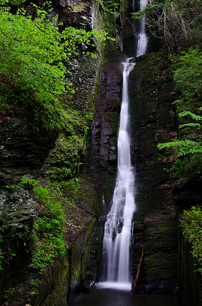 istock Silverthread Falls in the Fresh Green of Spring 462281981