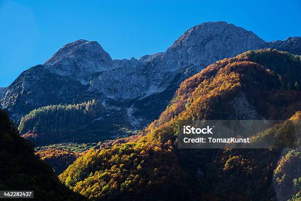 Outono - Fotografias de stock e mais imagens de Alpes Europeus - Alpes Europeus, Alpes de Julian, Ao Ar Livre