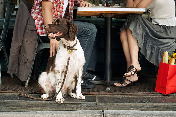 istock Dog and Owners Sitting at Sidewalk Cafe 462283293