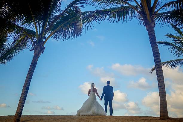 istock Silhoutte Bridet and groom holding hands in tropics 462285901