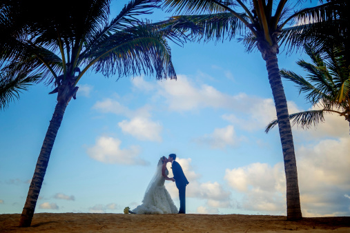 Silhoutte of bride and groom kissing on a beach, Tropical palm trees.
