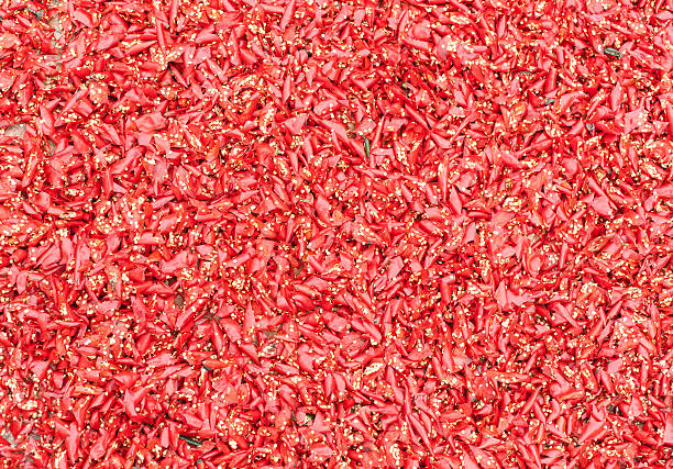 istock Chili/Chili plants/hot pepper 462285935
