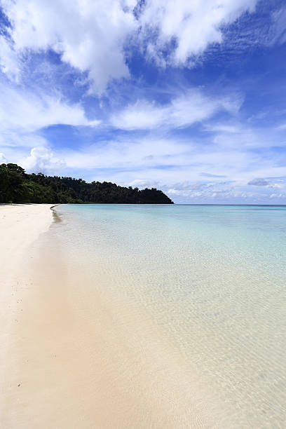 istock Beautiful tropical landscape. Thailand 462286397