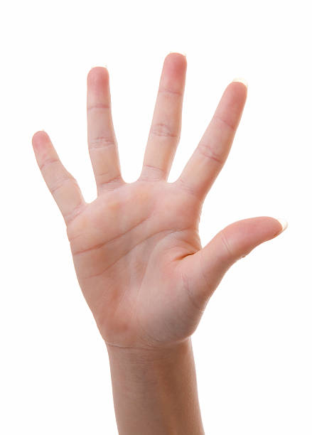 istock Hand is counting number 5 over white background 462287359