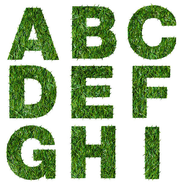 istock Letters alphabets made of green grass isolated on white 462289659