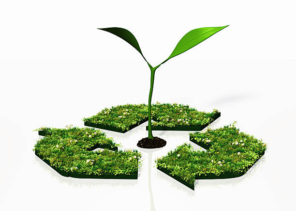 istock small plant in a recycling symbol 462289745