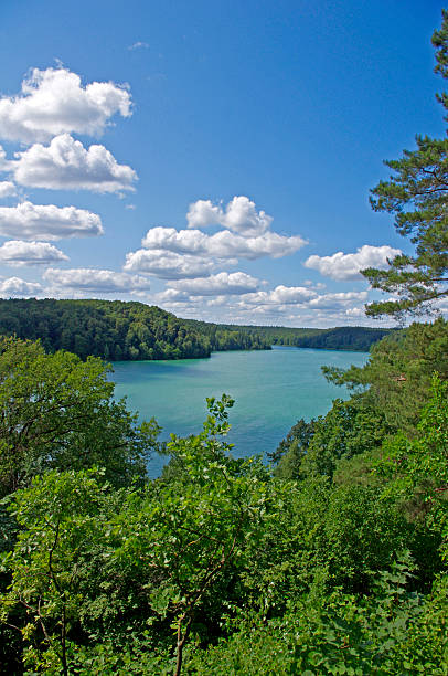 istock Beautiful lake in forest, Lithuania 462291879