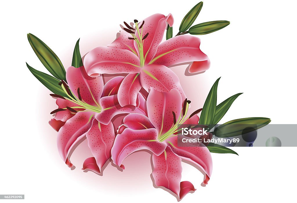 Beautiful gift card with pink lilies Beautiful gift card with pink lilies , may be used as a Woman's Day congratulation Adult stock vector