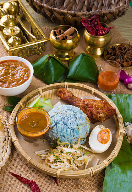 istock Nasi Kerabu , a traditional east coast blue rice, 462292945
