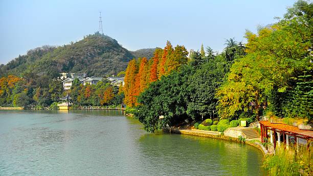 istock Residential district in the landscape 462293701