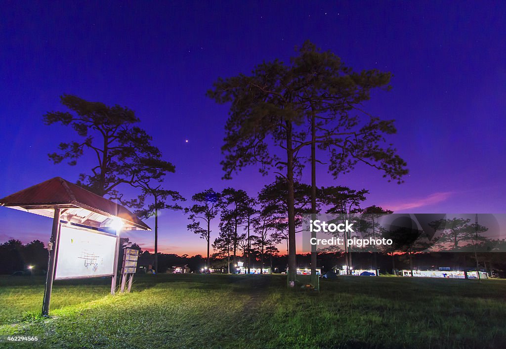 Sky with stars in night, landscape Sky with stars in night, landscape at Phukradung National Park,Asia Thailand Abstract Stock Photo