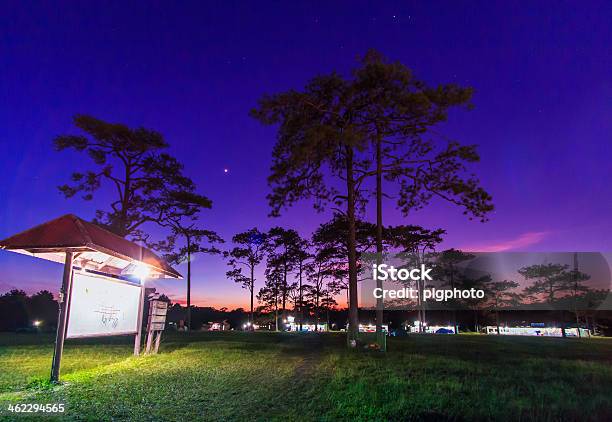 Sky With Stars In Night Landscape Stock Photo - Download Image Now - Abstract, Asia, Astronomy