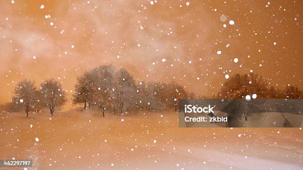 Christmas Snowing At Night In Bled Stock Photo - Download Image Now - Bled - Slovenia, Christmas, Forest