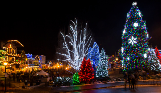 Christmas Lighting Festival is a delightful blend of old and new traditions of celebrating Christmas.
