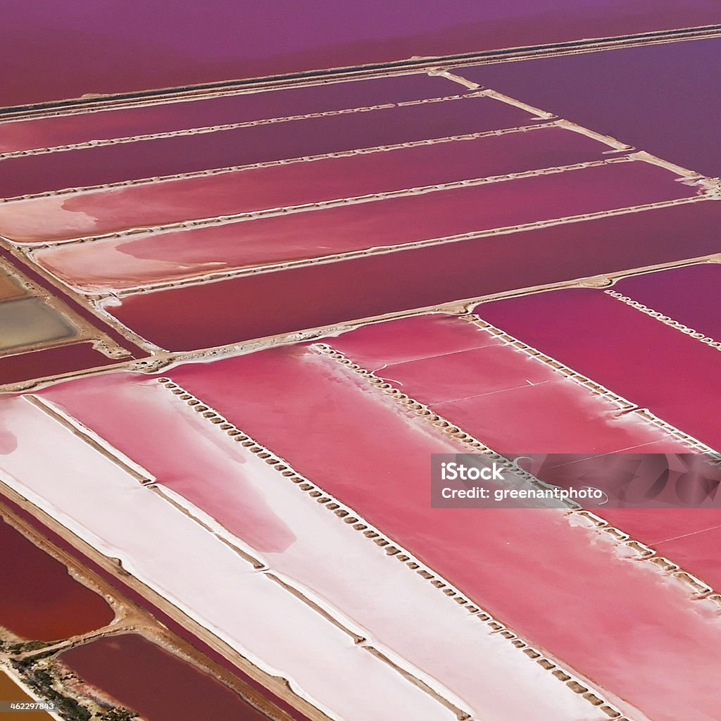 Aquaculture ponds, Hutt Lagoon, Western Australia Aerial view of the naturally pink Hutt Lagoon near Port Gregory in Western Australia. The pink colour is caused mainly by microscopic algae (Dunaliella salina), which thrive in the supersaline water. The algae are farmed in ponds; they are harvested for their pigments (beta-carotene), which are used as food additives and natural colours. Hutt Lagoon Stock Photo