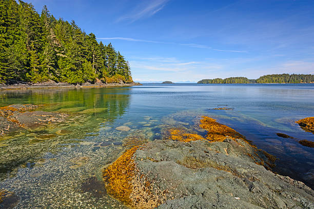 istock Tidal Bay on an Ocean Coast 462303141