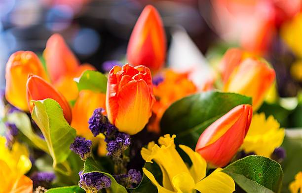 istock Beautiful bouquet of tulips 462303905