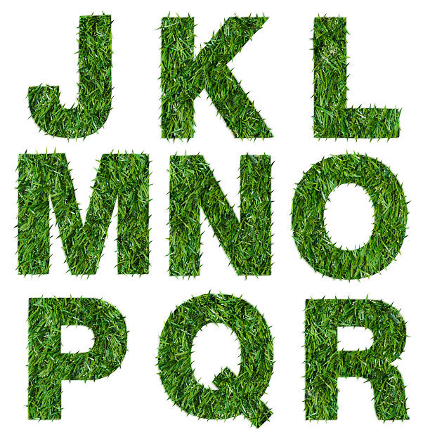 istock Letters alphabets made of green grass isolated on white 462304293