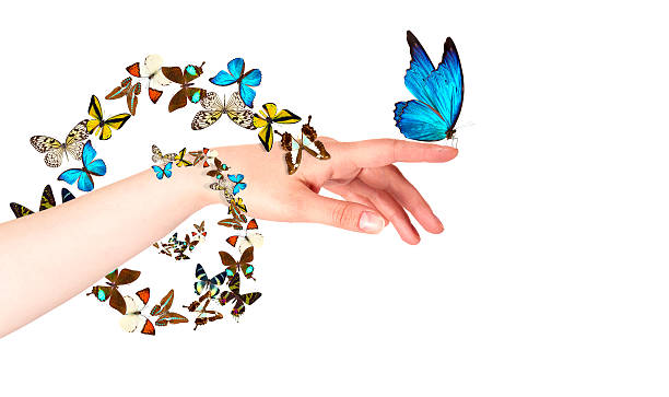 butterfly on woman's hand. In motion