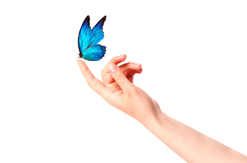 butterfly on woman's hand. In motion concept isolated