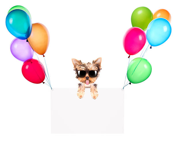 istock Holiday banners with balloons and dog 462316661