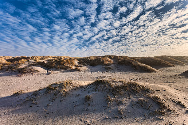 istock Dunes at the Danish North Sea coast 462317505