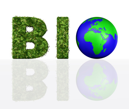 a front view of the bio word composed from the letters B and I that are covered by grass and flowers, and the letter O that has been replaced by a blue and green world