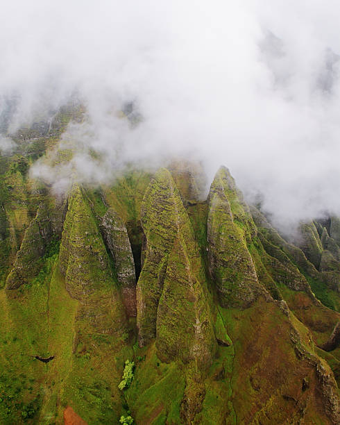 istock Aerial views Kauai island west coast 462320477