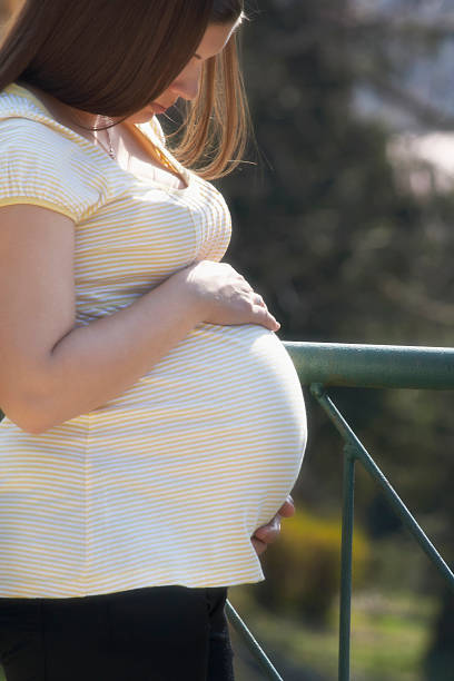 istock Pregnant woman in nature 462323587