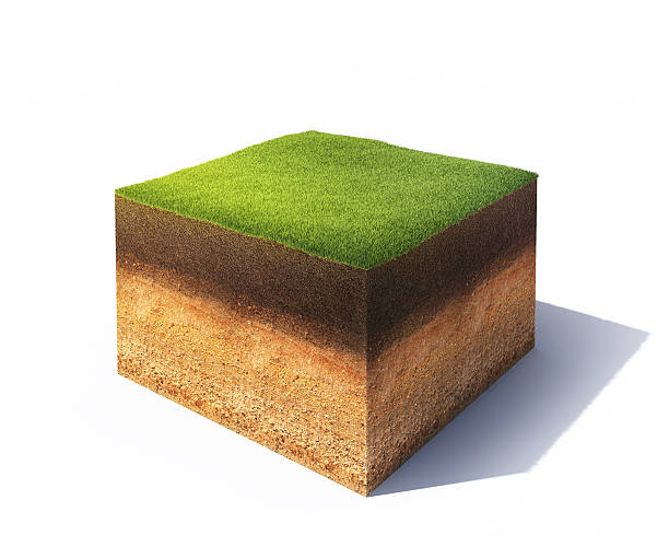 istock Cross section of ground 462324129