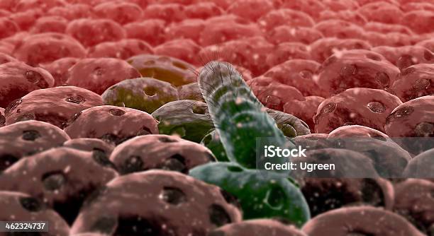 Foto de Bactéria e mais fotos de stock de Alta Magnificação - Alta Magnificação, Ampliação, Bacillus Subtilis